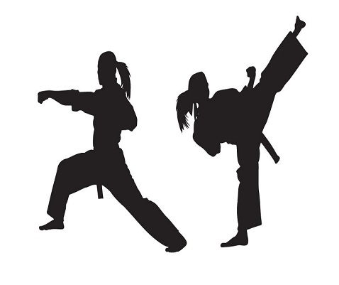 Home [budogankarate-soumen.github.io]